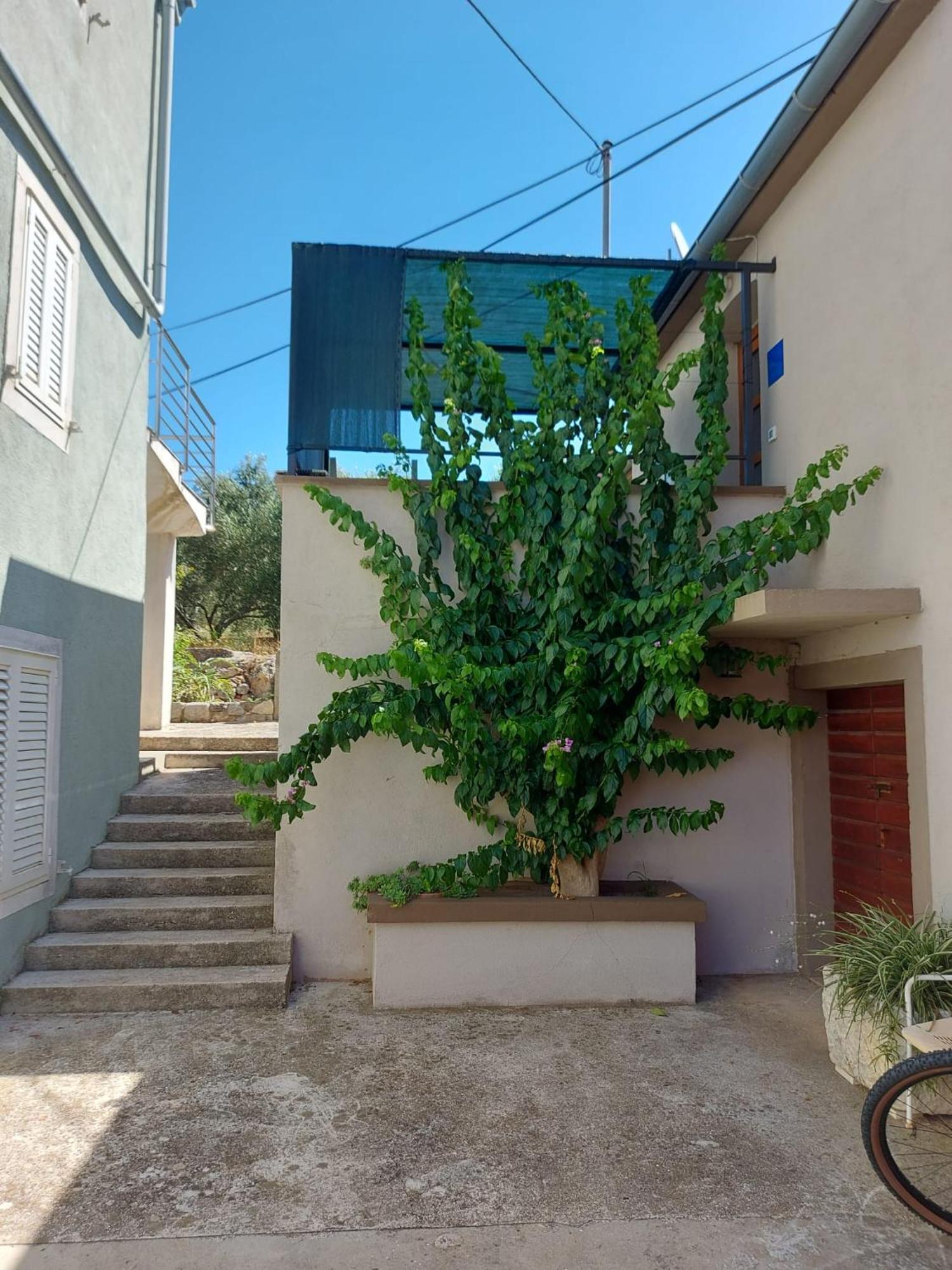 Apartmani Bugenvilija Brbinj Екстериор снимка